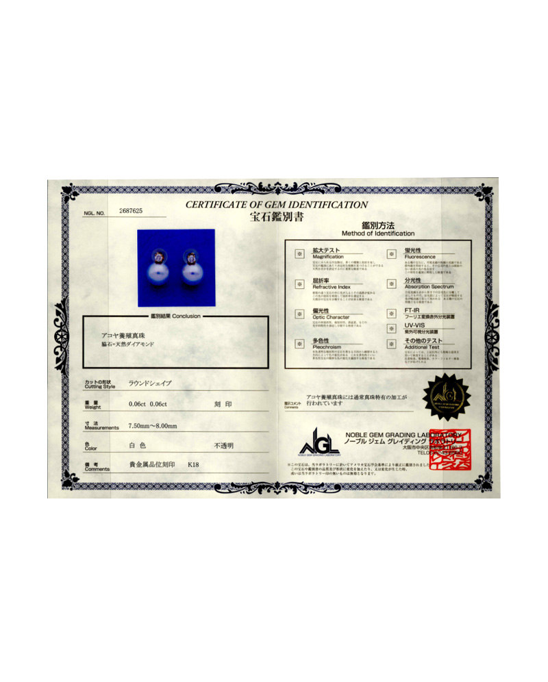 1076203301 3